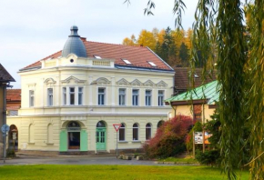 Vila Antik, Nové Hrady